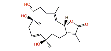 Sinumaximol G